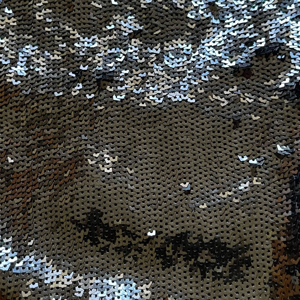 Tibi Sequin Hight Waist Pants Size 2 - image 3